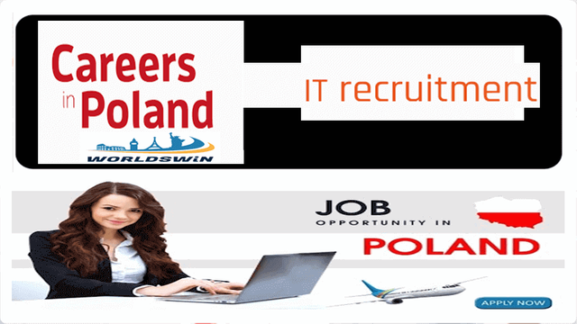 IT job vacancy poland.PNG
