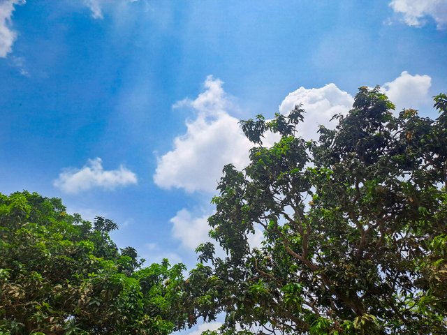 20250503_124428.jpg