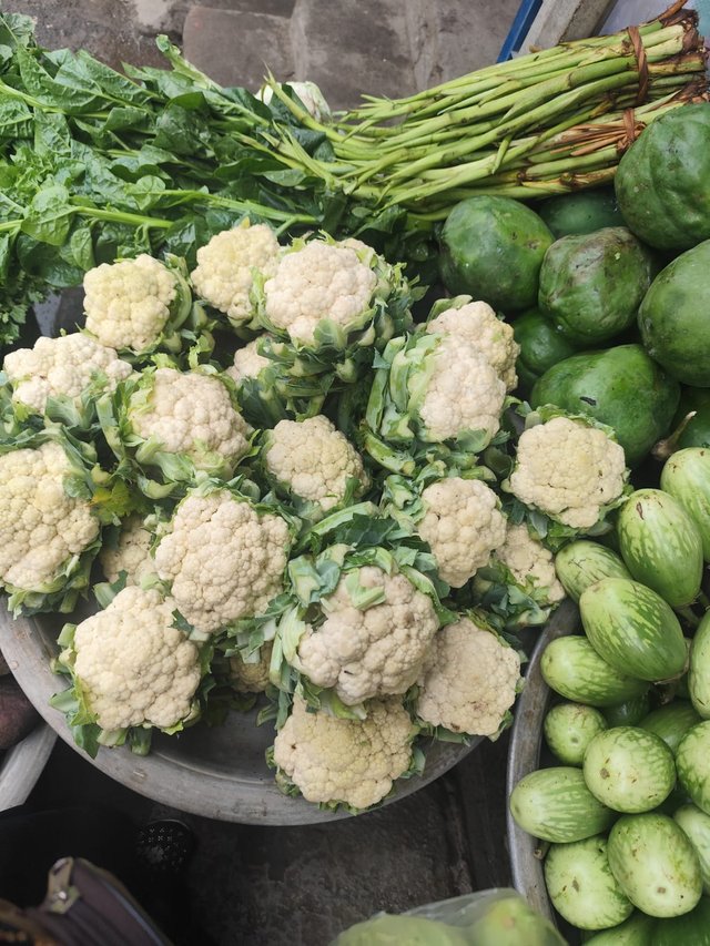  2025-03-24 at 7.48.28 PM.jpeg