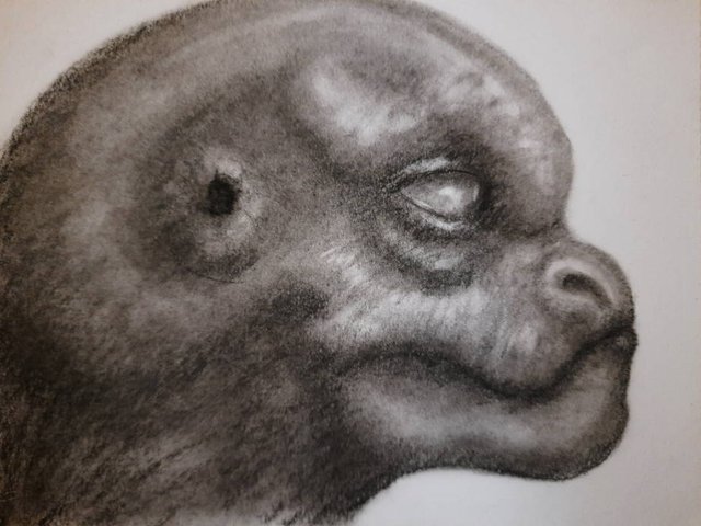 20250925_110851.jpg
