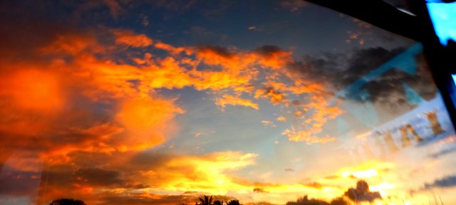 20220809_183036.jpg