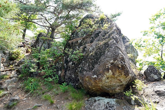 b-DSC07706.JPG