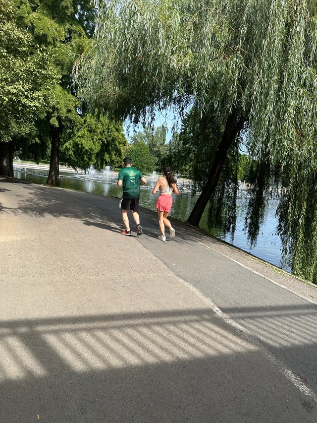 IMG_7397.jpeg