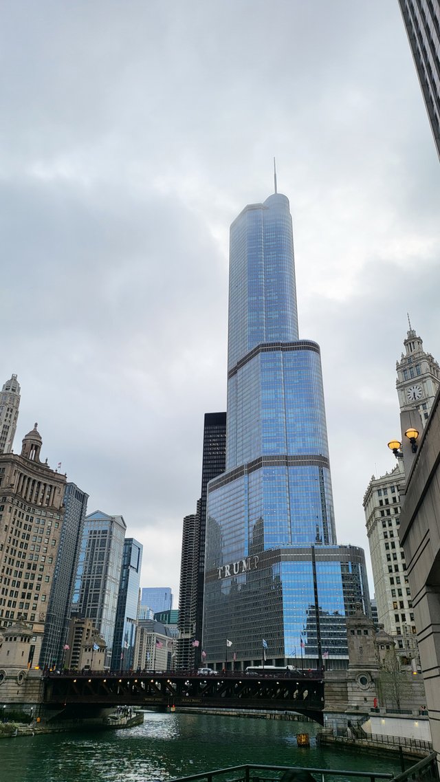 1000082054.jpg