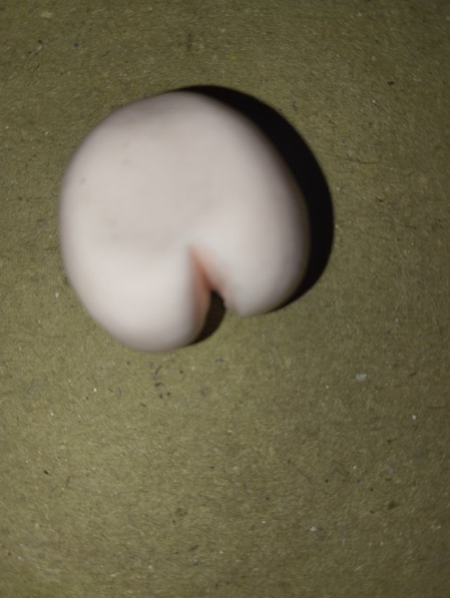 1000029378.jpg