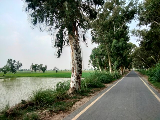 IMG20250806102111.jpg