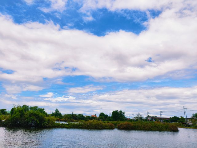 IMG_20250622_124145.jpg