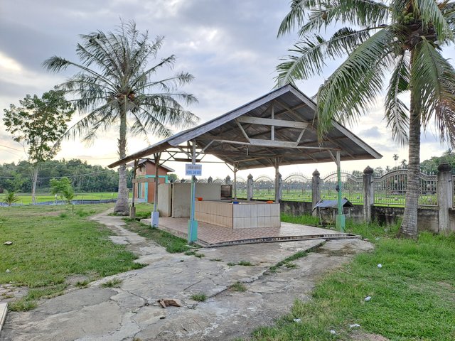 20250802_172536.jpg