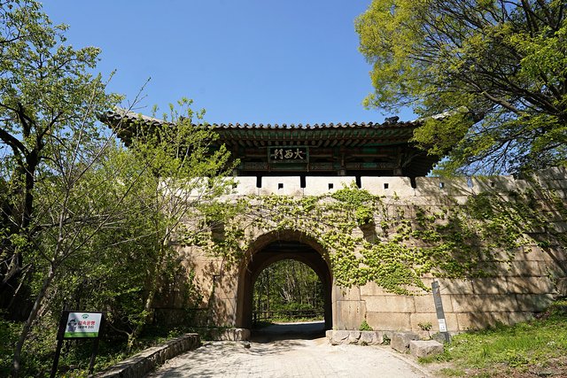 DSC08841.JPG
