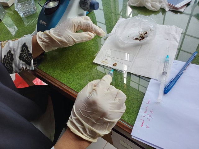 IMG20211104102238.jpg