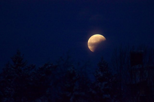 Moon eclipse 7:30AM 2019-01-21__MG_3162.jpg