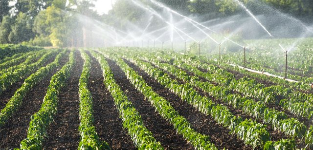 irrigation-system-history-post.jpg