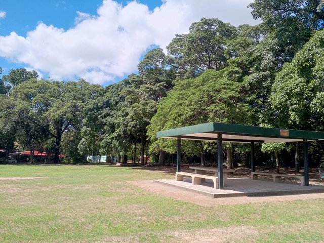 IMG_20250909_102018_299.jpg