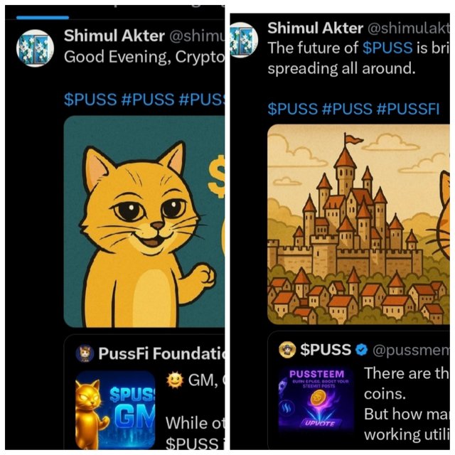 photocollage_2025513195959609.jpg