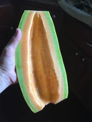Banana Melon Half.jpg