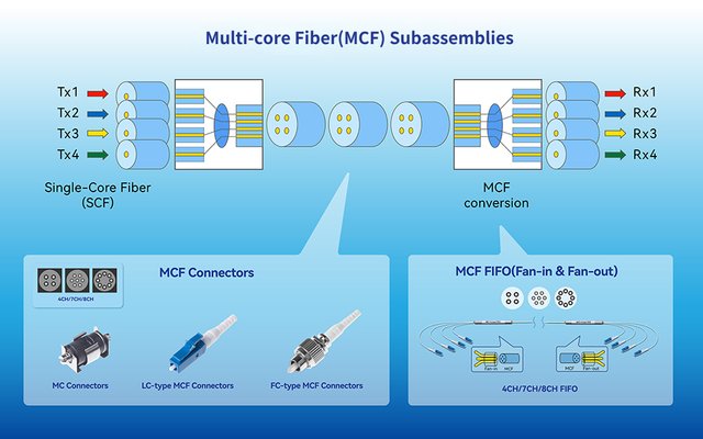 MCF--RGB-35.jpg