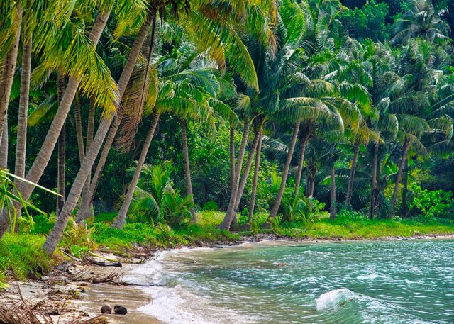 wildbeaches.jpg