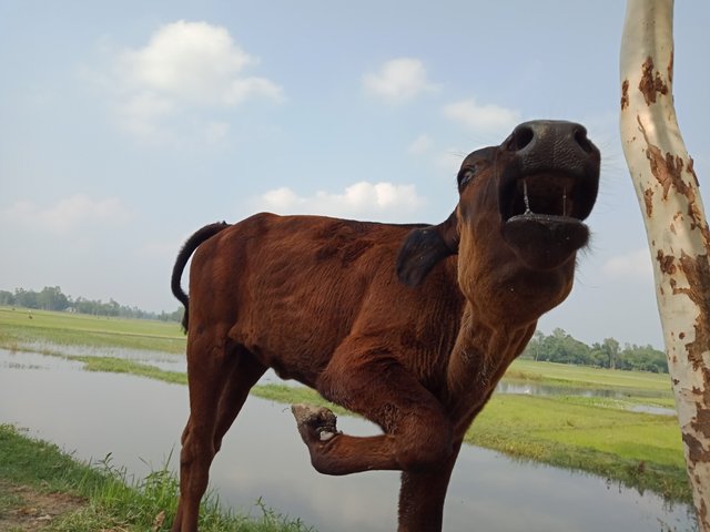 IMG20210603144613.jpg