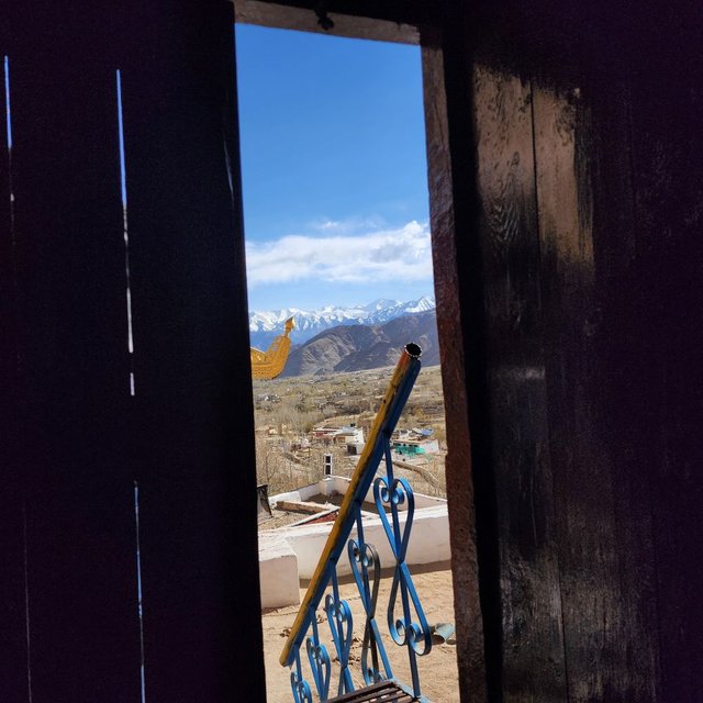 20230516_163234.jpg
