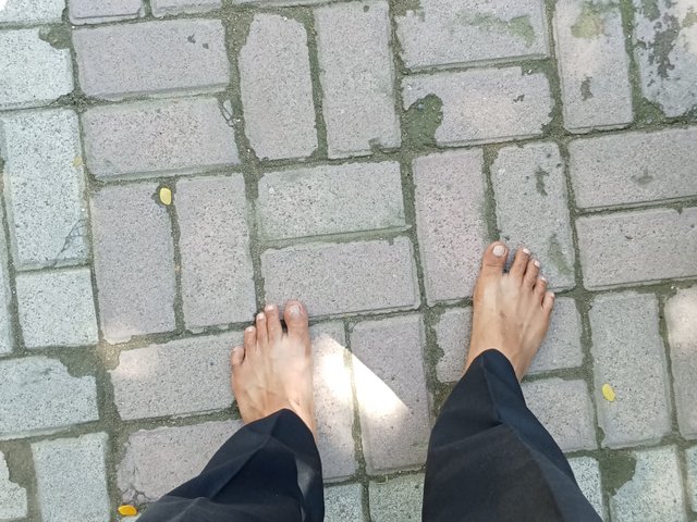 1000079841.jpg