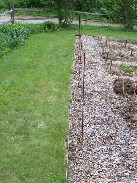 Fencing - edged, posts in1 crop May 2018.jpg