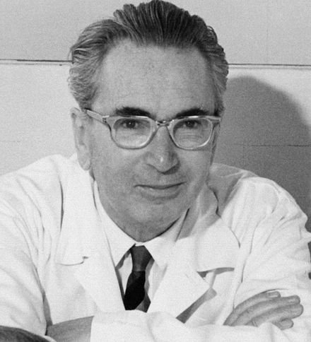 440px-Viktor_Frankl2.jpeg