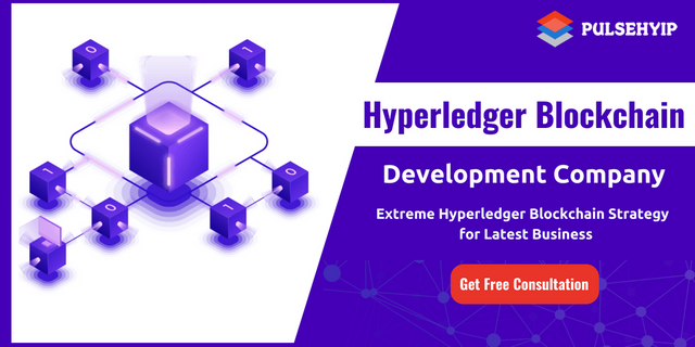 Hyperledger-Blockchain-Development-company.png