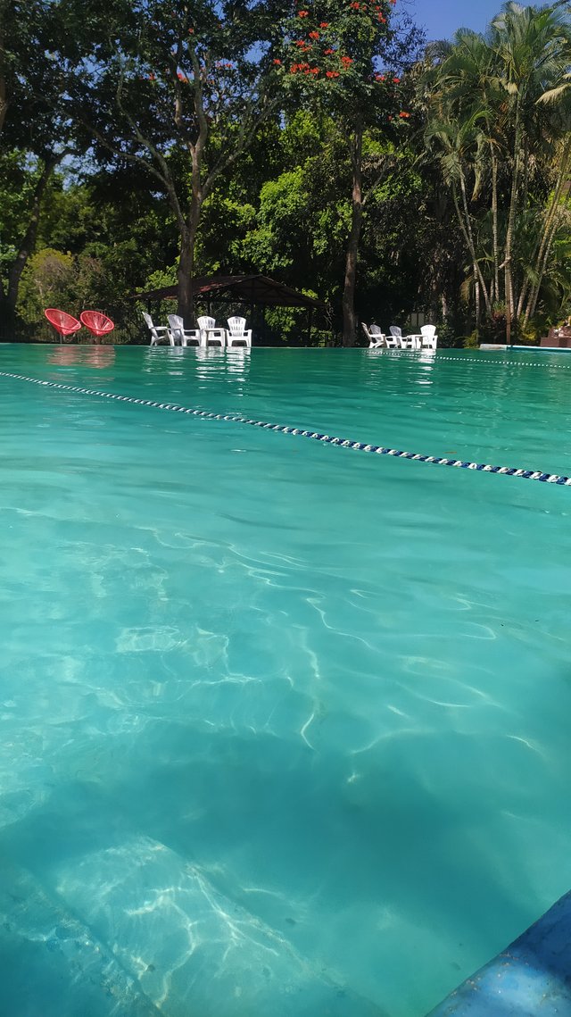 IMG_20240414_102755.jpg