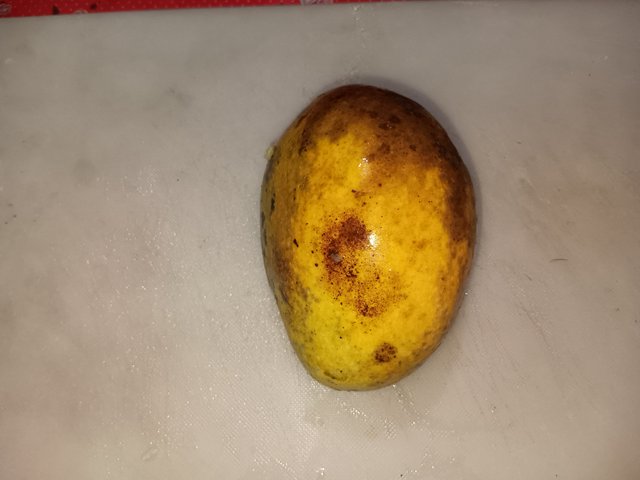 1000031936.jpg