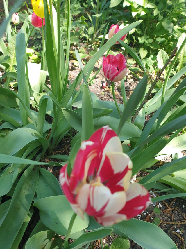 20250503_115940.jpg