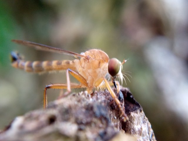 IMG_20220220_160226_696.jpg