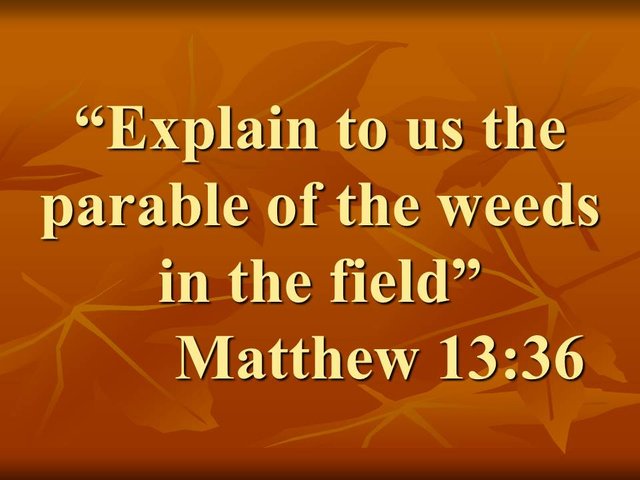 Jesus and the disciples. Explain to us the parable of the weeds in the field. Matthew 13,36.jpg