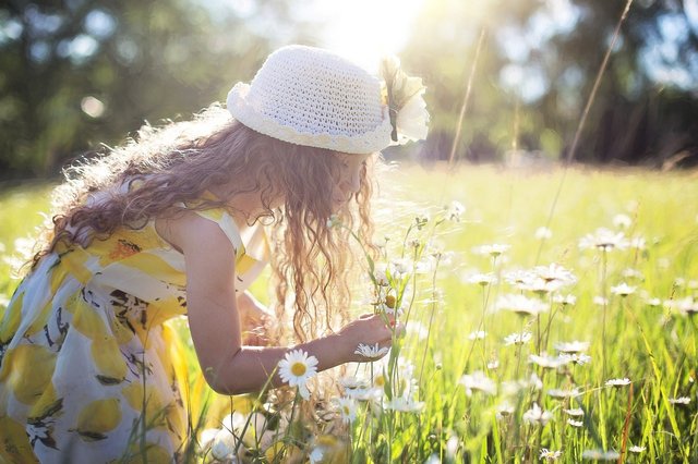 picking-flowers-2432972_1920.jpg