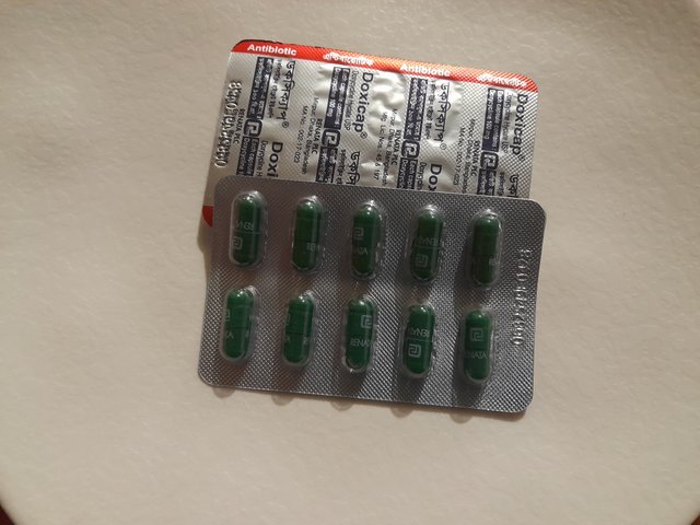 1000125240.jpg