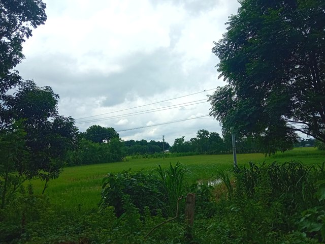 IMG_20250708_211044.jpg