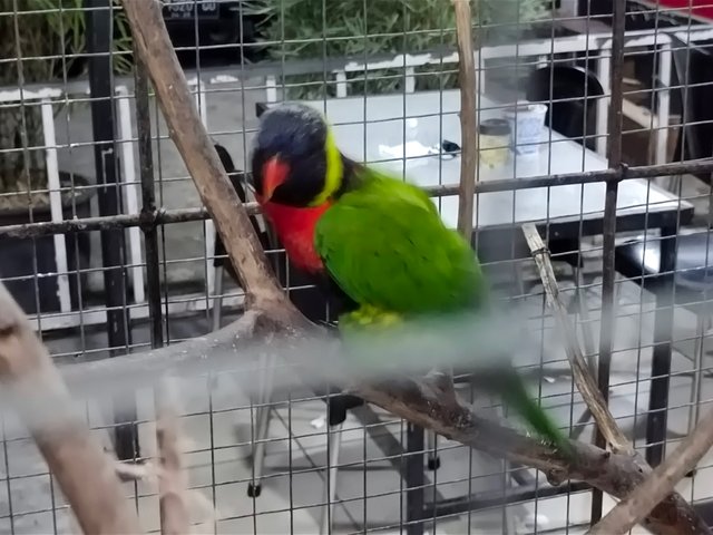 IMG_20250418_040839.jpg