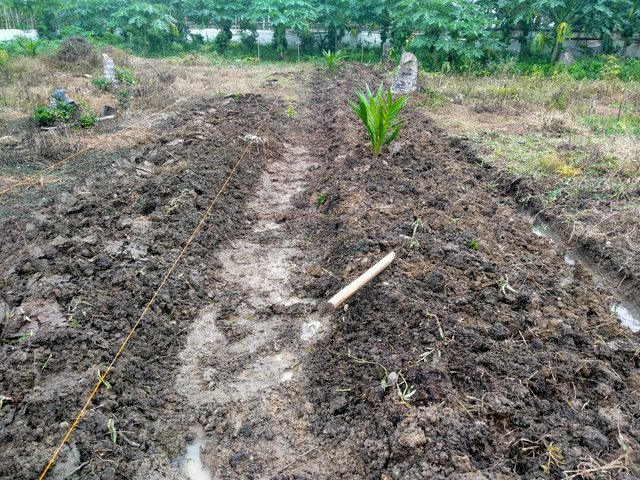 IMG20250118165156.jpg