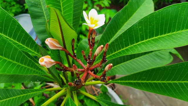 20250518_163010.jpg