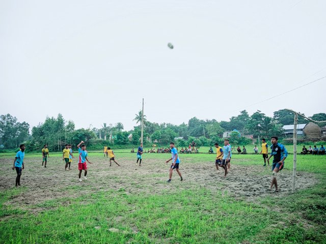 IMG_20250727_130246.jpg