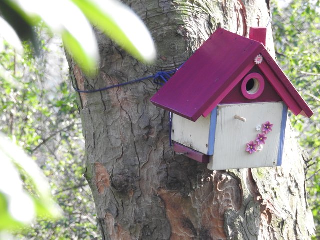 DSCN1172.JPG