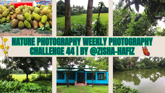 Nature Photography Weekly Photography Challenge 44  by @zisha-hafiz.png