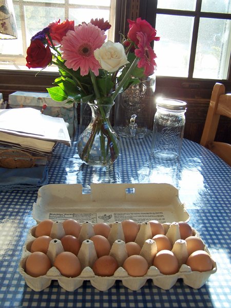 Little girl eggs crop September 2019.jpg