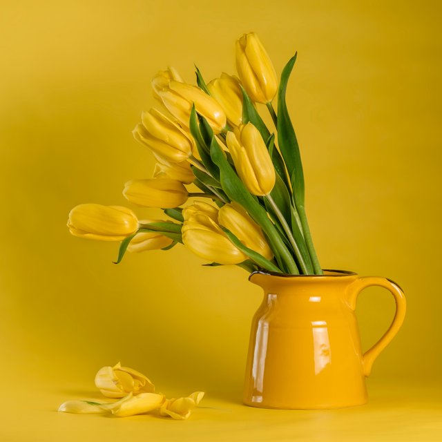 yellow-tulips-in-yellow-ceramic-vase-4618517.jpg