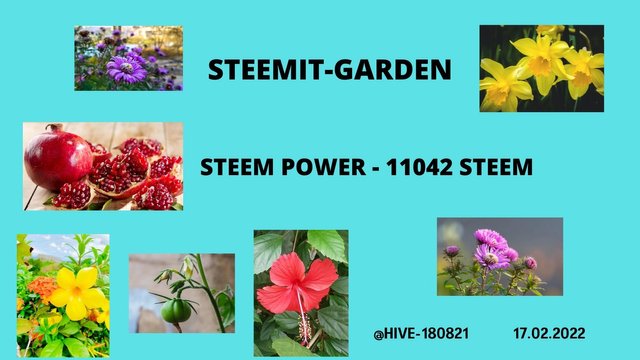 STEEMIT-GARDEN (1).jpg