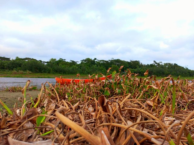 IMG-20240815-WA0172.jpg
