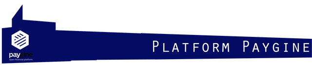 paygine platform.png