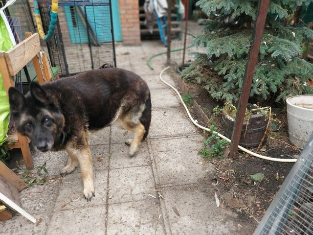 IMG_1477.jpeg