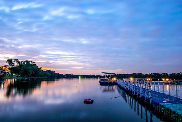 bridge-9599215_1280.jpg