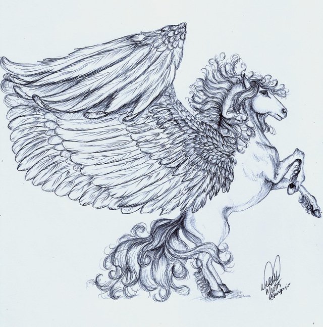 PEGASO.jpg