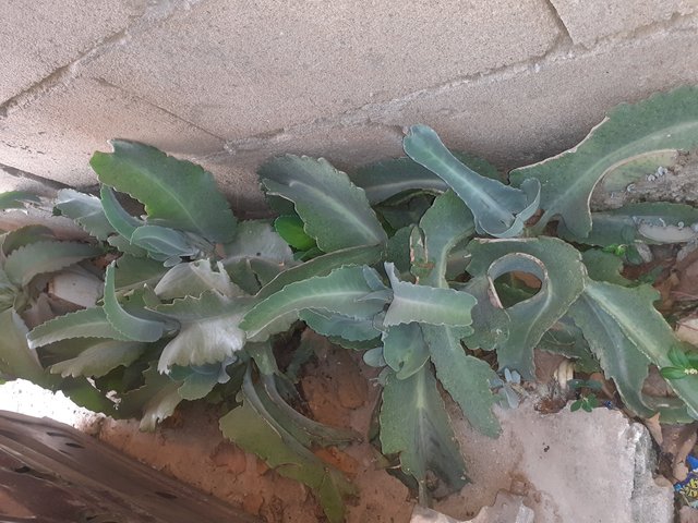 20250324_173505.jpg